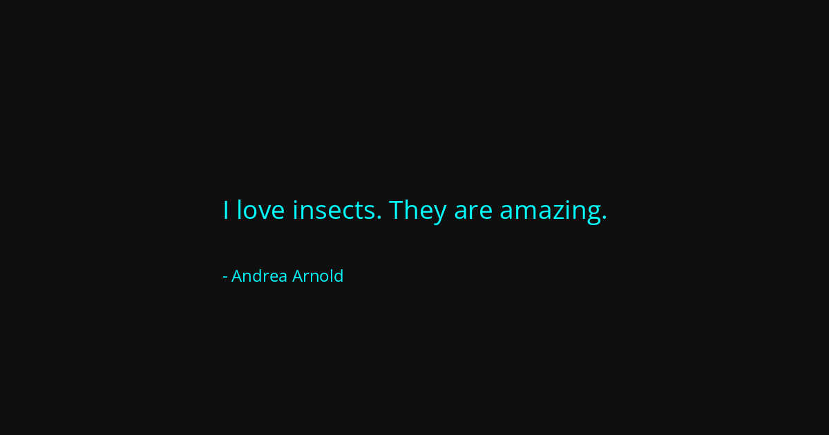 Quote by Andrea Arnold